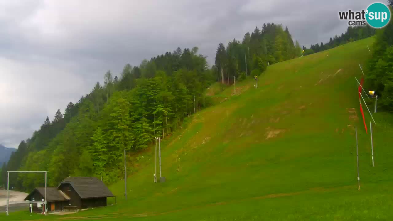 Podkoren – Kranjska Gora – Finish of Giant slalom