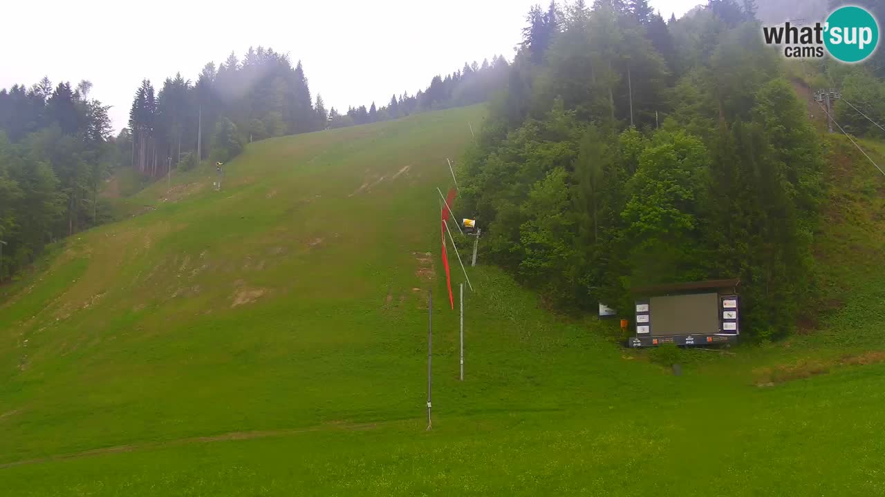 Podkoren / Kranjska Gora – Arrivee slalom géant