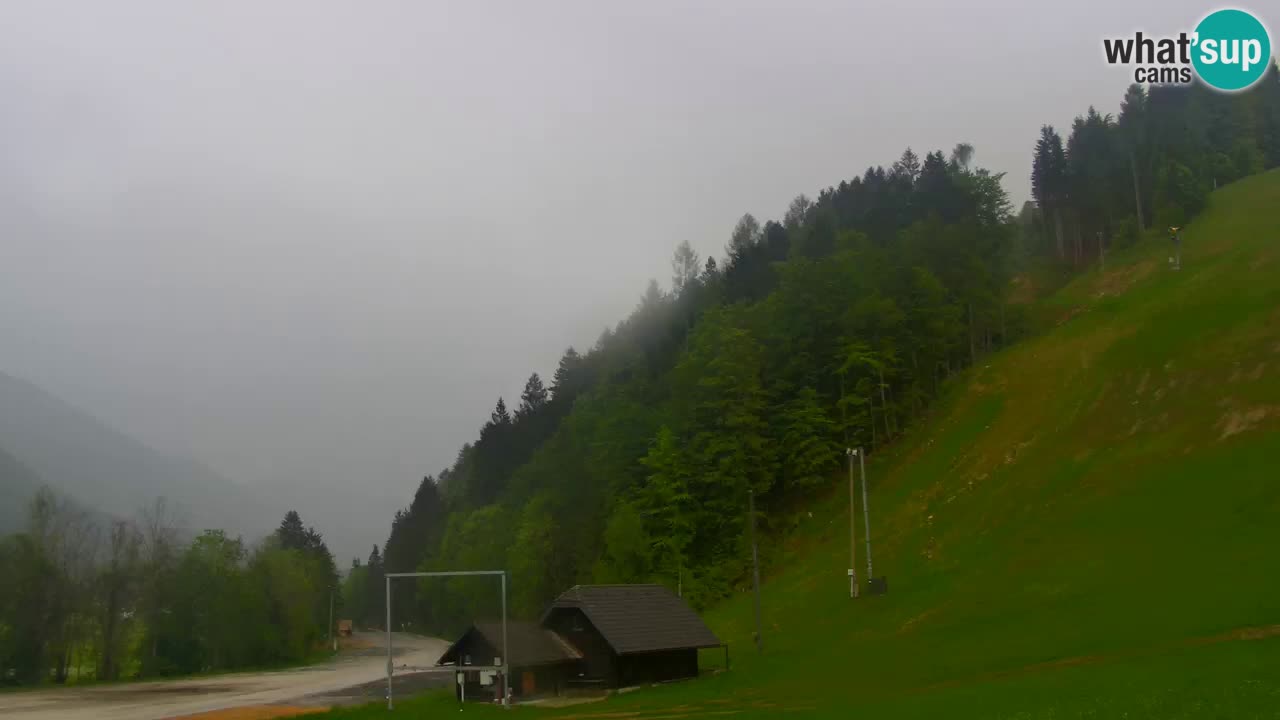 Podkoren – Kranjska Gora – Finish of Giant slalom