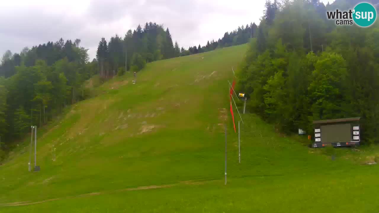 Podkoren / Kranjska Gora – Arrivo slalom gigante