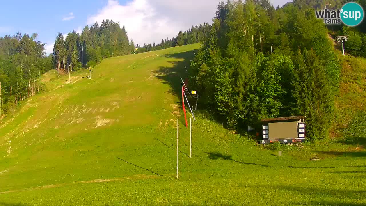 Podkoren / Kranjska Gora – Cilj veleslaloma svjetskog kupa
