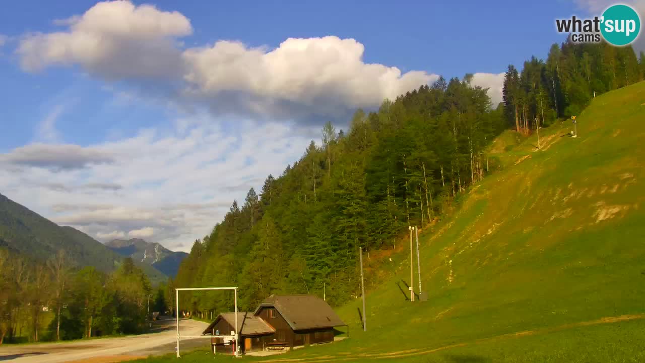 Podkoren / Kranjska Gora – Cilj veleslaloma svjetskog kupa
