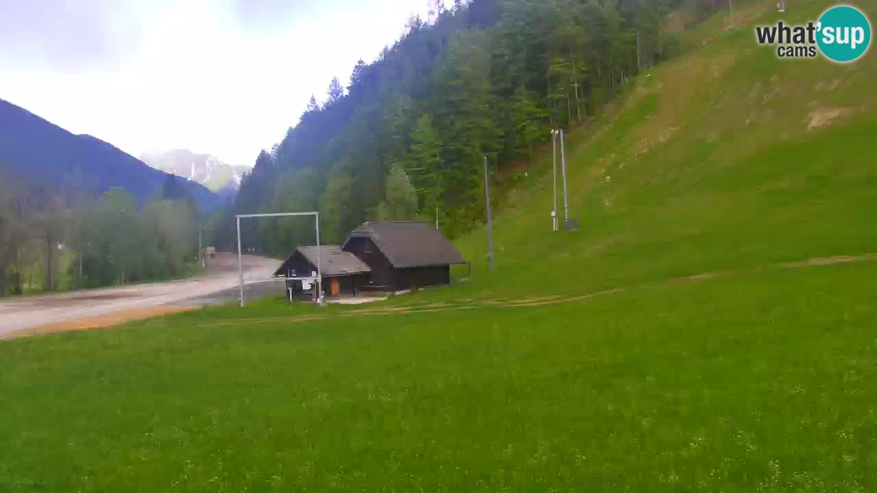 Podkoren / Kranjska Gora – Arrivo slalom gigante