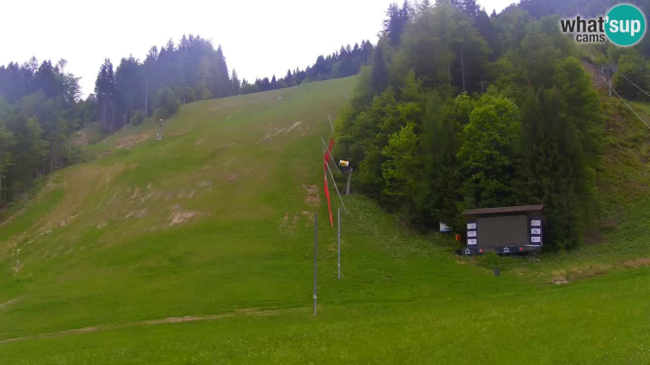 Podkoren / Kranjska Gora – Cilj veleslaloma svjetskog kupa