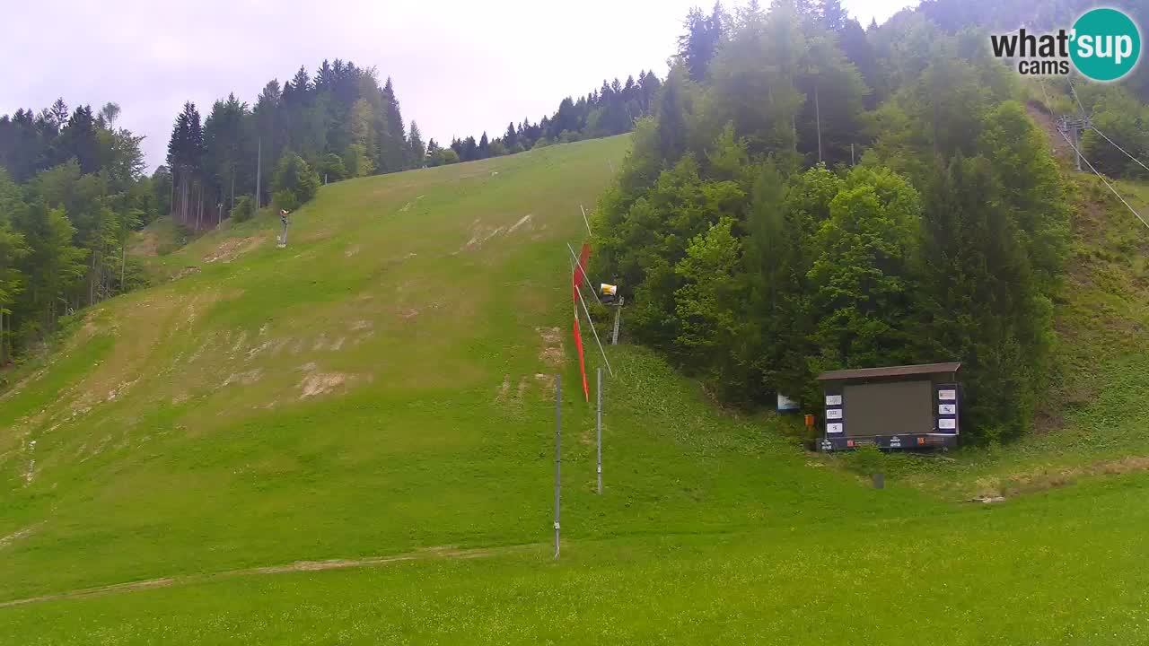 Podkoren / Kranjska Gora – Ziel Riesenslalom
