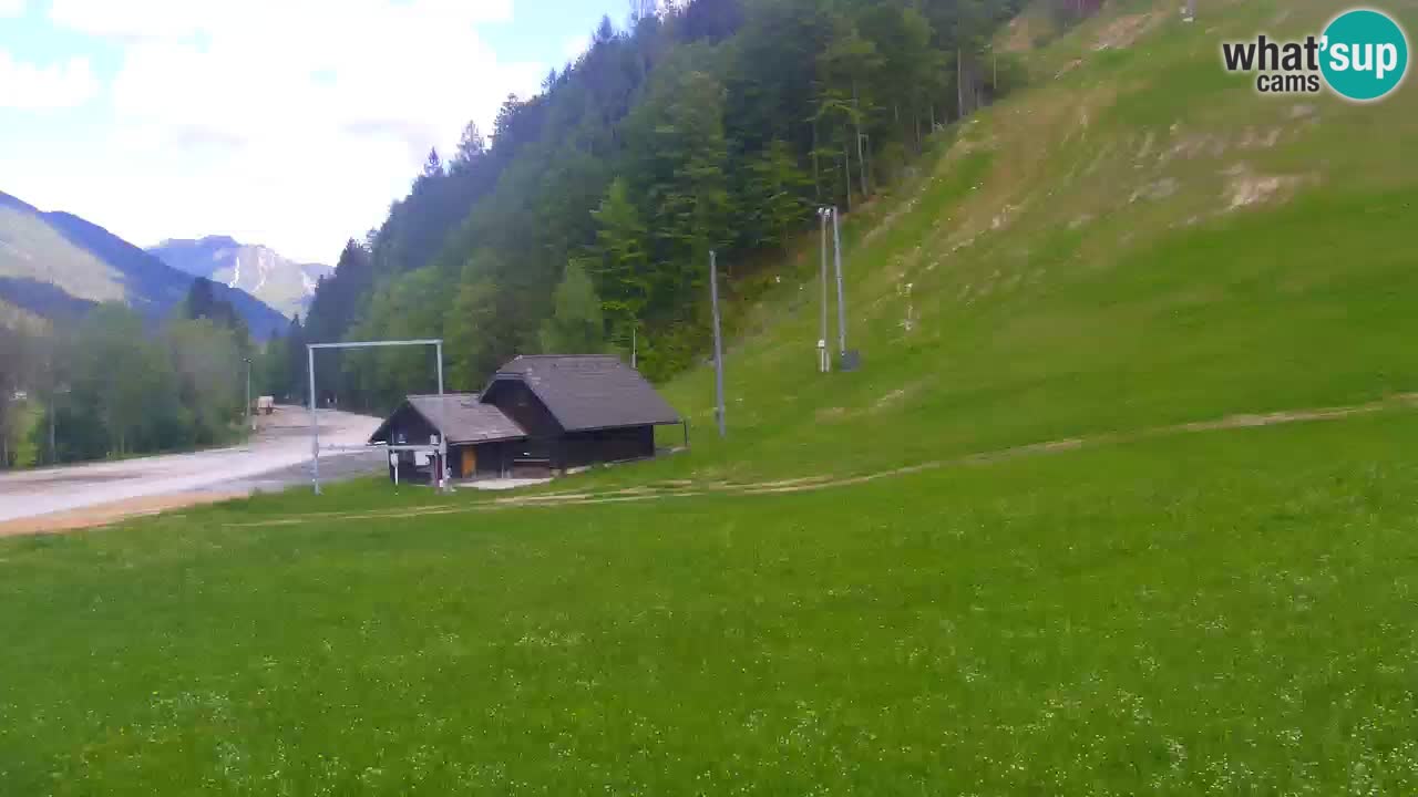 Podkoren / Kranjska Gora – Arrivo slalom gigante