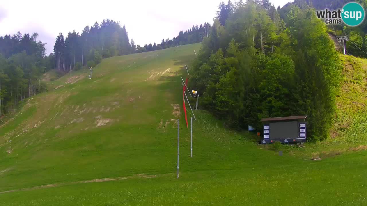 Spletna kamera Podkoren / Kranjska Gora – Poligon in ciljna strmina