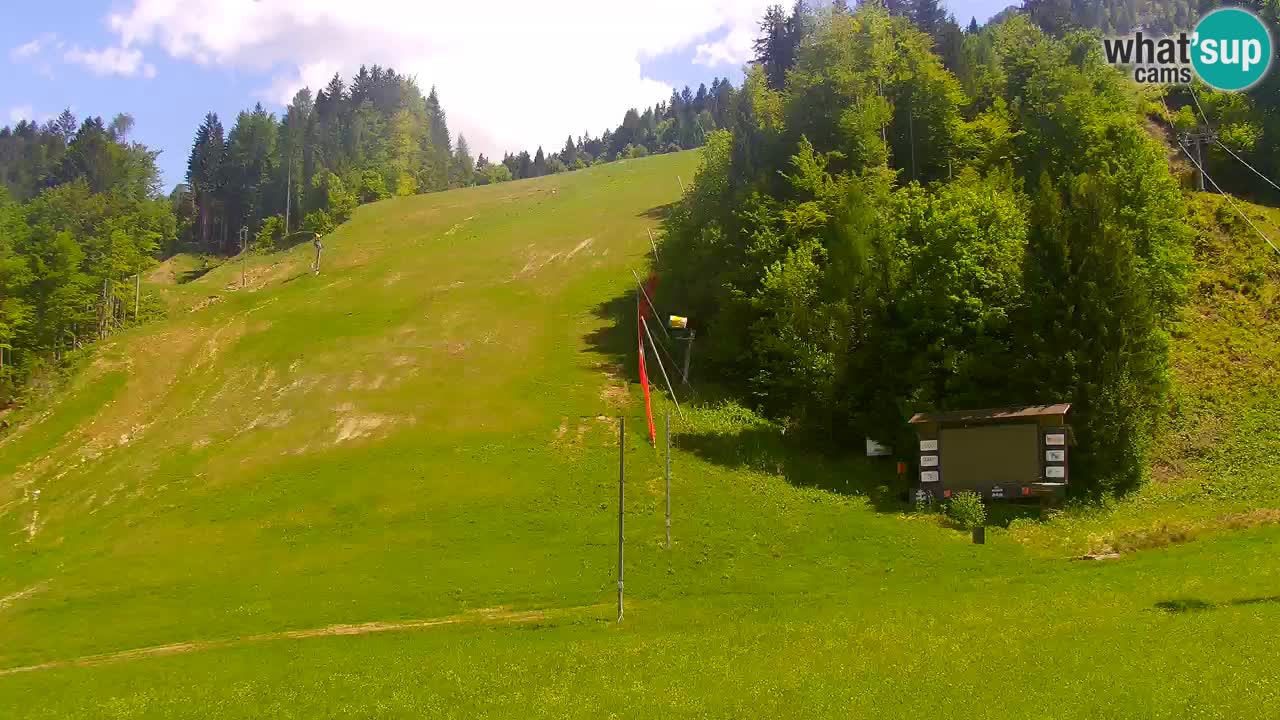 Podkoren / Kranjska Gora – Arrivee slalom géant