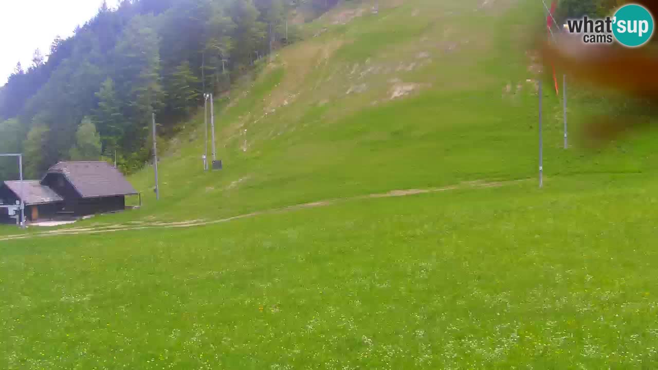Podkoren / Kranjska Gora – Cilj veleslaloma svjetskog kupa