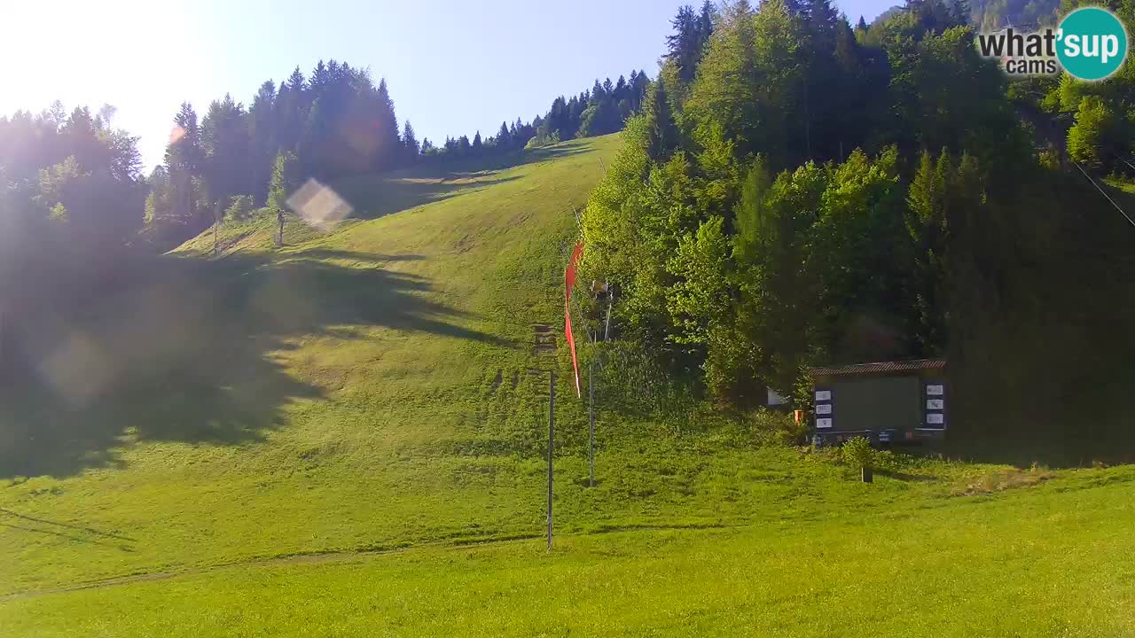 Podkoren – Kranjska Gora – Finish of Giant slalom