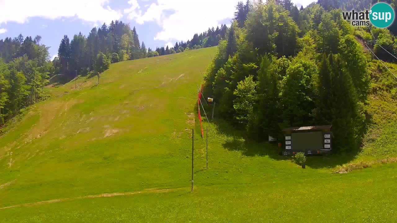 Podkoren / Kranjska Gora – Arrivo slalom gigante