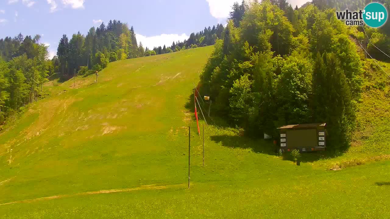 Spletna kamera Podkoren / Kranjska Gora – Poligon in ciljna strmina