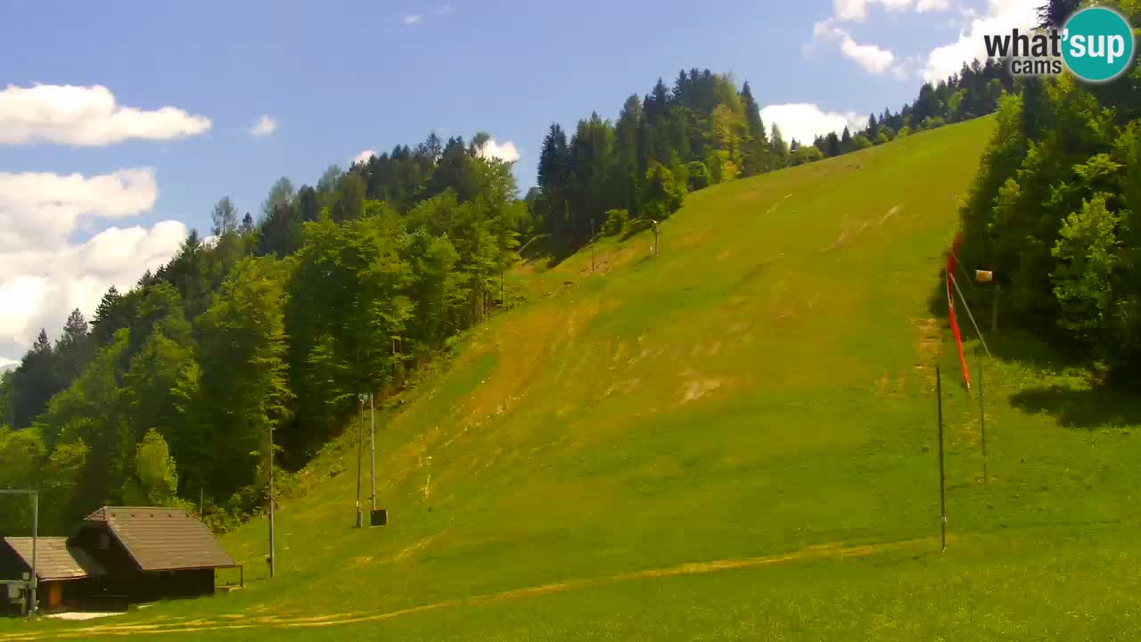 Podkoren – Kranjska Gora – Finish of Giant slalom