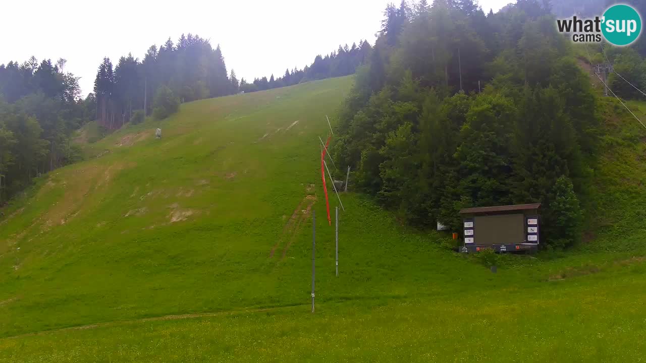 Podkoren Webcam Kranjska Gora | Finish of Giant slalom