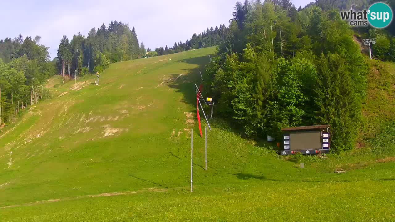 Podkoren / Kranjska Gora – Ziel Riesenslalom