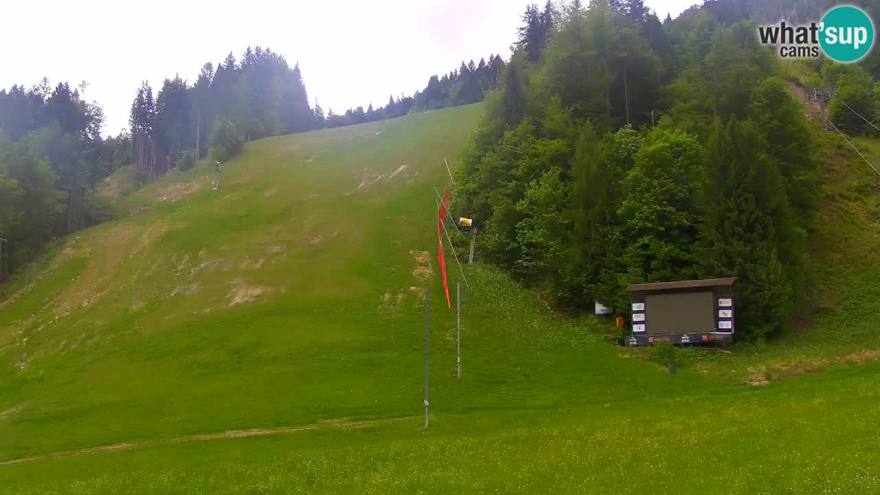 Podkoren / Kranjska Gora – Arrivee slalom géant