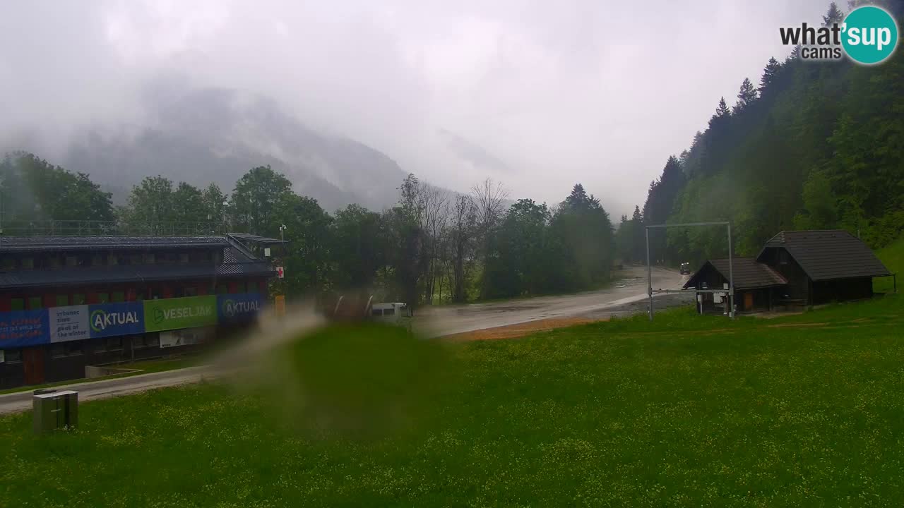 Podkoren / Kranjska Gora – Arrivo slalom gigante