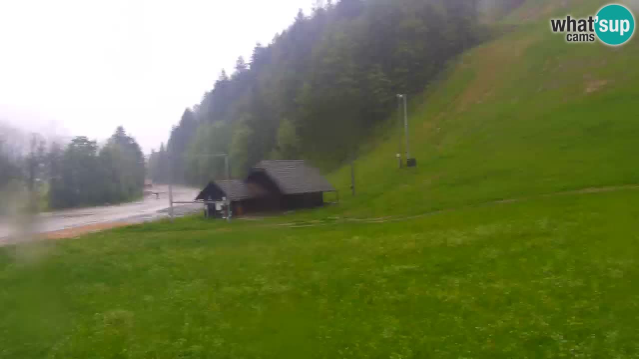 Podkoren / Kranjska Gora – Cilj veleslaloma svjetskog kupa