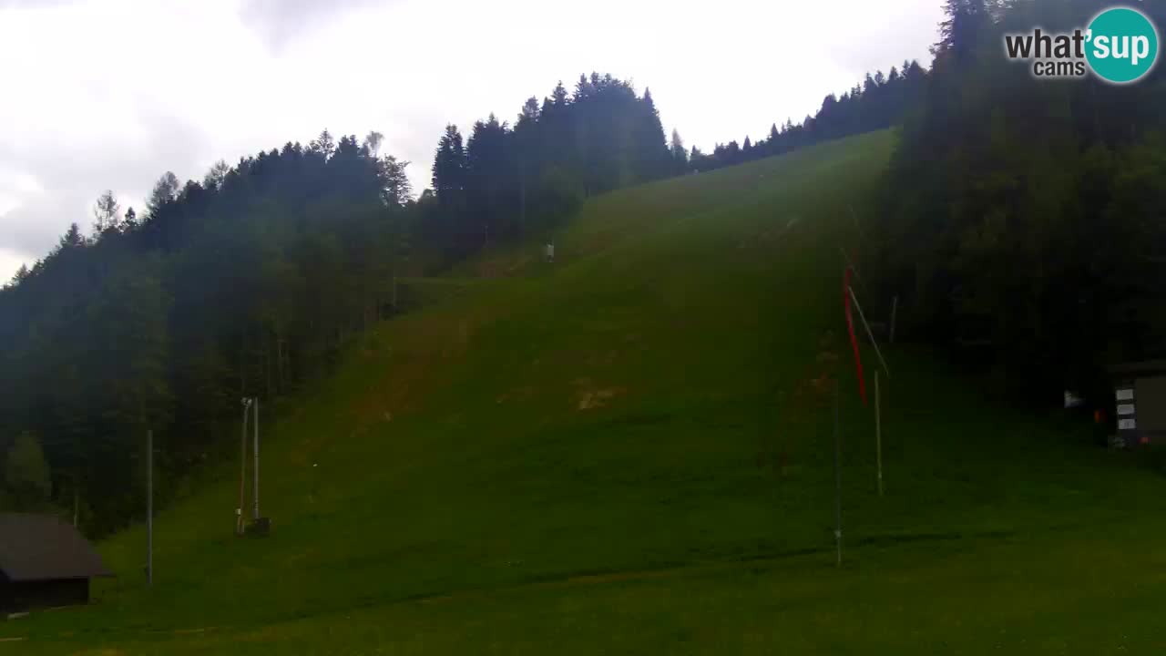 Podkoren Webcam Kranjska Gora | Finish of Giant slalom