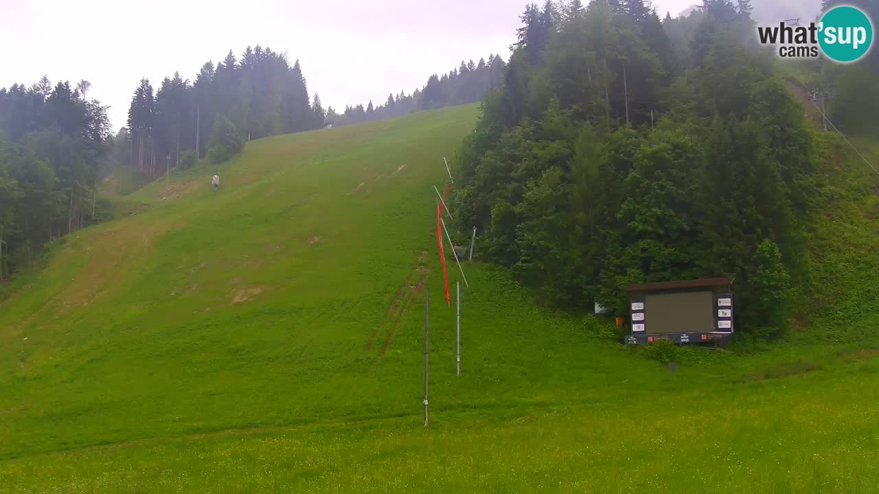 Podkoren / Kranjska Gora –  Meta Slalom gigante