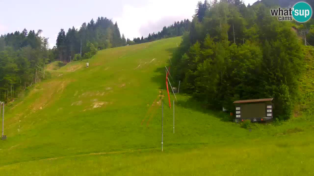 Podkoren Webcam Kranjska Gora | Finish of Giant slalom