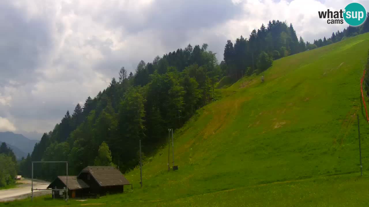 Podkoren / Kranjska Gora –  Meta Slalom gigante