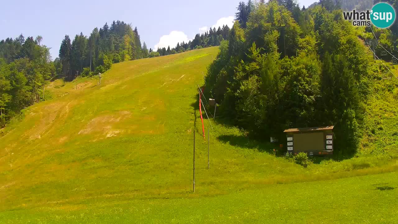 Podkoren / Kranjska Gora – Ziel Riesenslalom