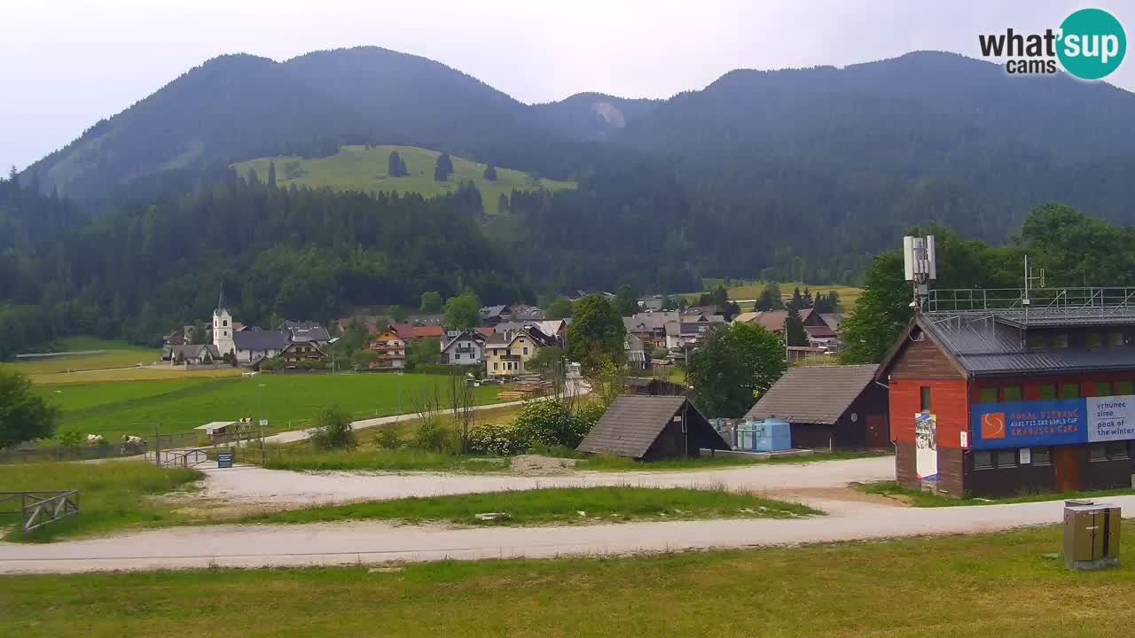 Podkoren Webcam Kranjska Gora | Finish of Giant slalom