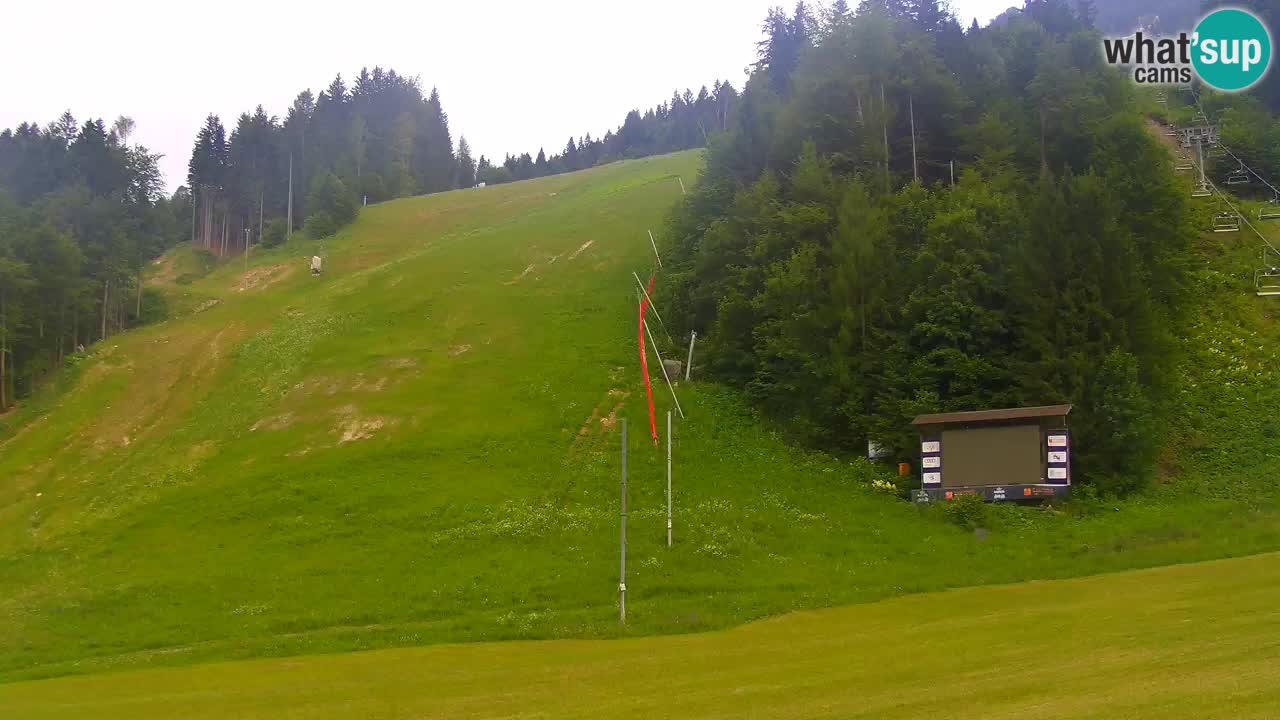 Podkoren Webcam Kranjska Gora | Finish of Giant slalom
