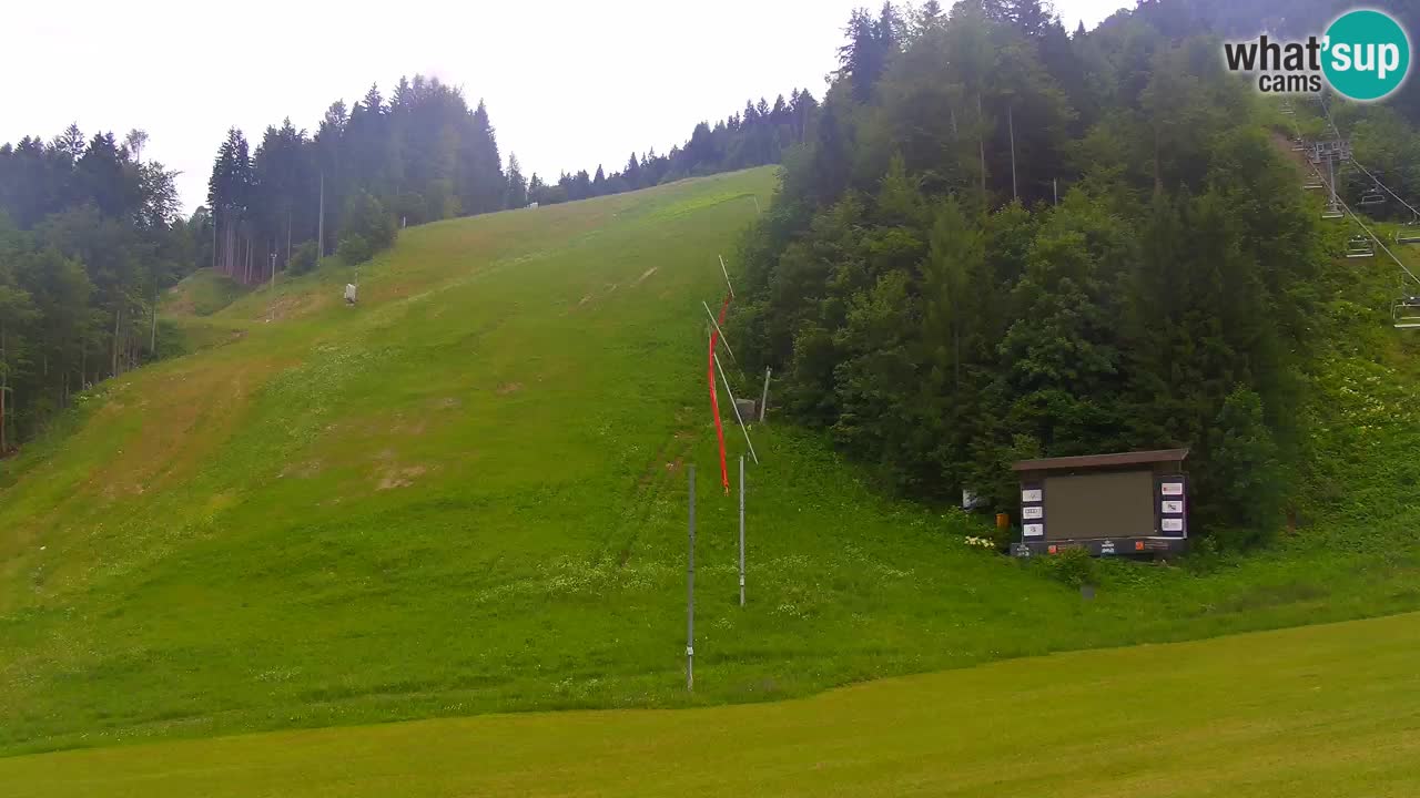 Podkoren / Kranjska Gora – Arrivo slalom gigante