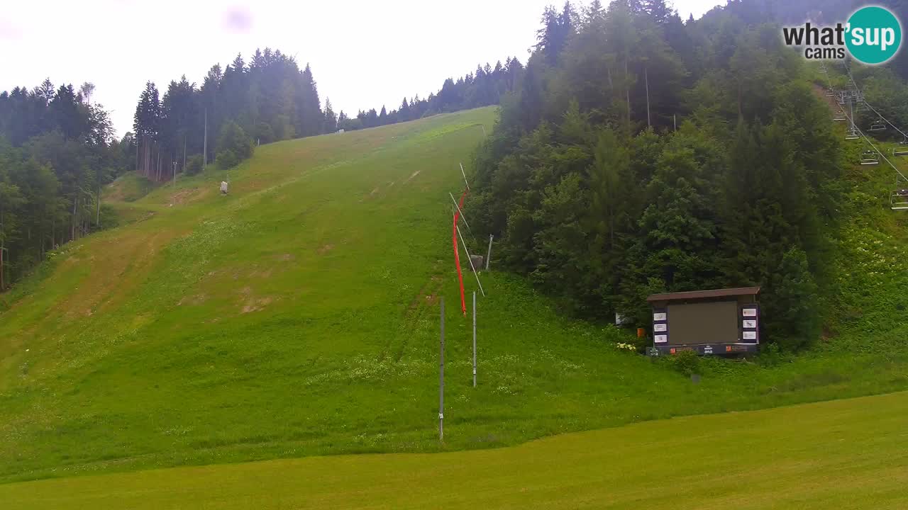 Podkoren / Kranjska Gora – Ziel Riesenslalom