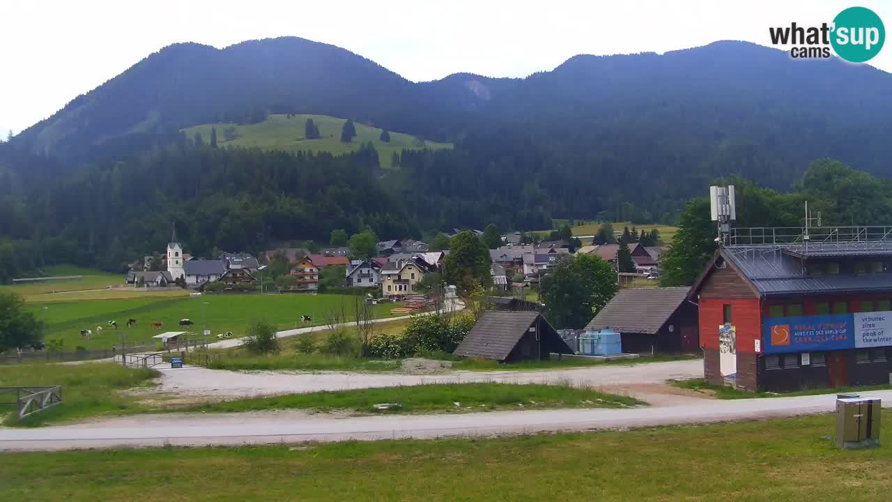 Podkoren / Kranjska Gora – Ziel Riesenslalom
