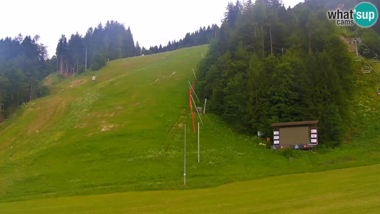 Podkoren / Kranjska Gora – Cilj veleslaloma svjetskog kupa