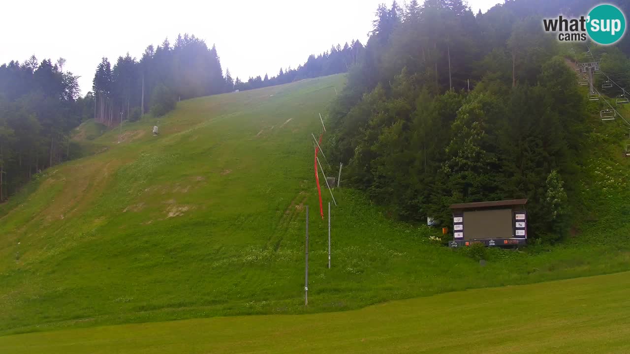 Podkoren / Kranjska Gora – Ziel Riesenslalom