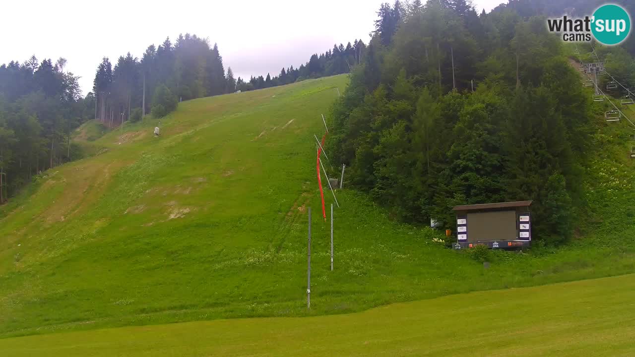 Podkoren / Kranjska Gora – Arrivee slalom géant
