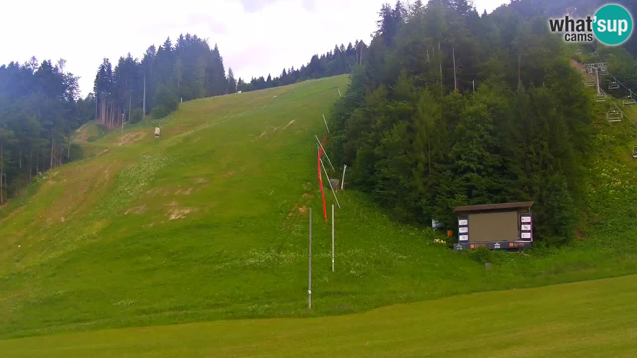 Podkoren / Kranjska Gora – Ziel Riesenslalom
