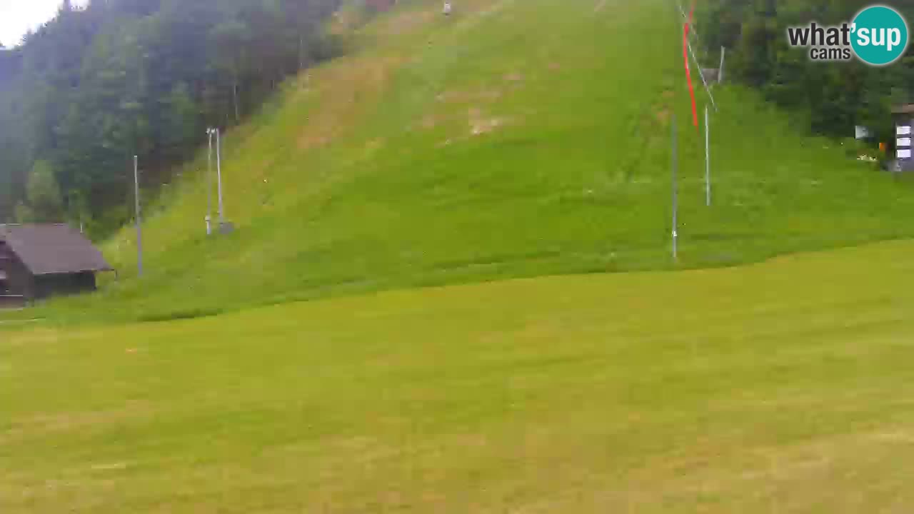 Podkoren / Kranjska Gora – Arrivo slalom gigante