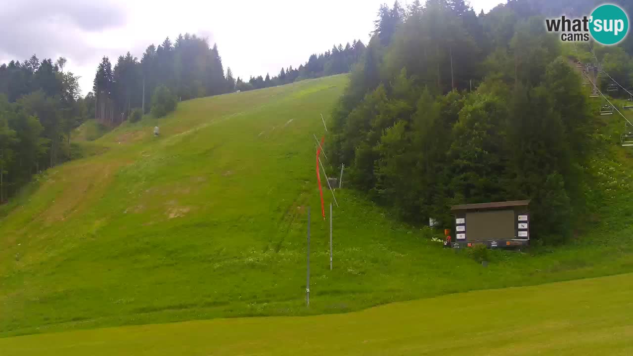 Podkoren Webcam Kranjska Gora | Finish of Giant slalom