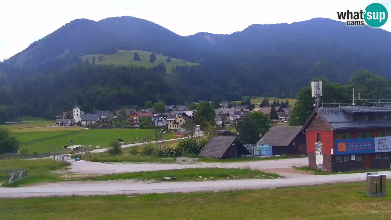 Podkoren / Kranjska Gora – Arrivo slalom gigante
