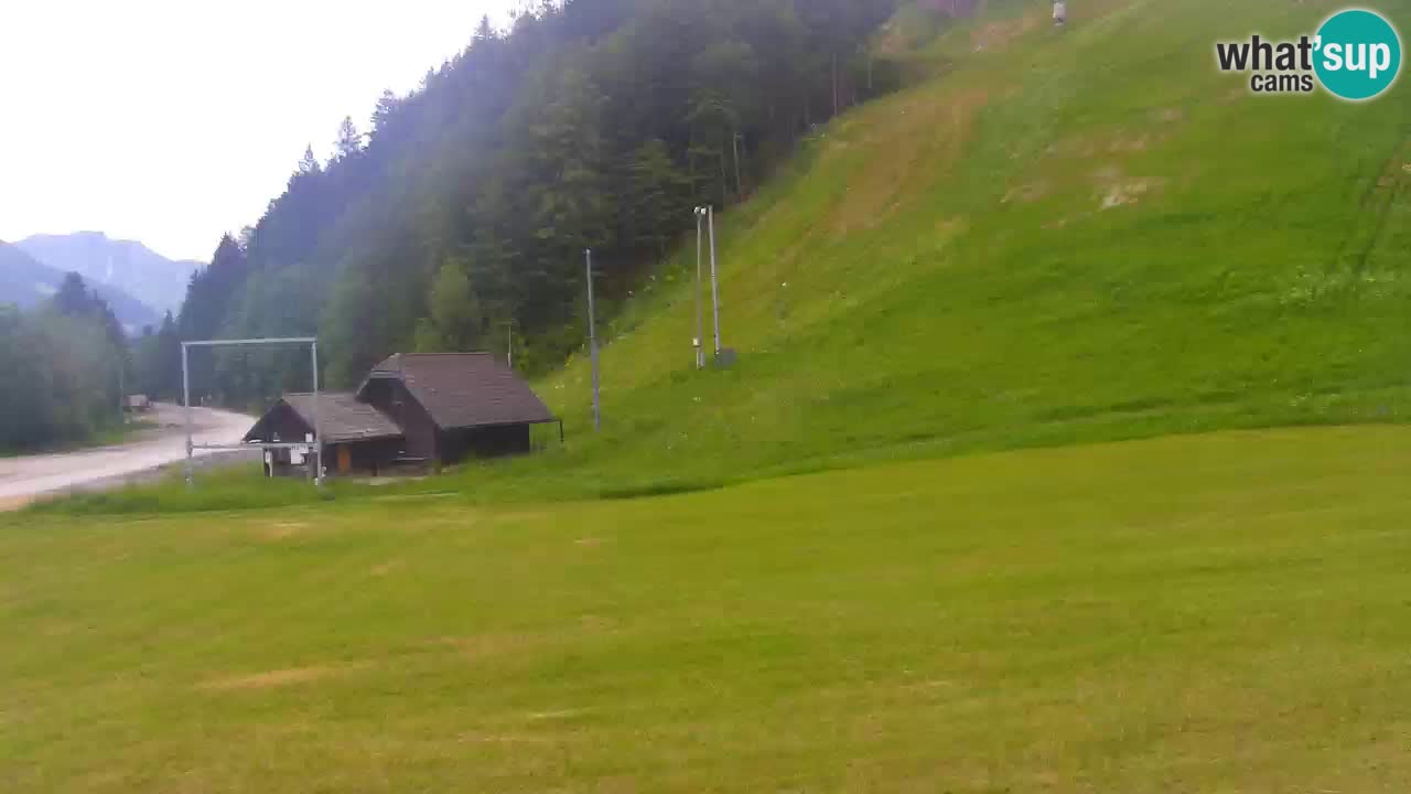 PODKOREN Kamera | Smučišče Podkoren – Kranjska Gora v ŽIVO