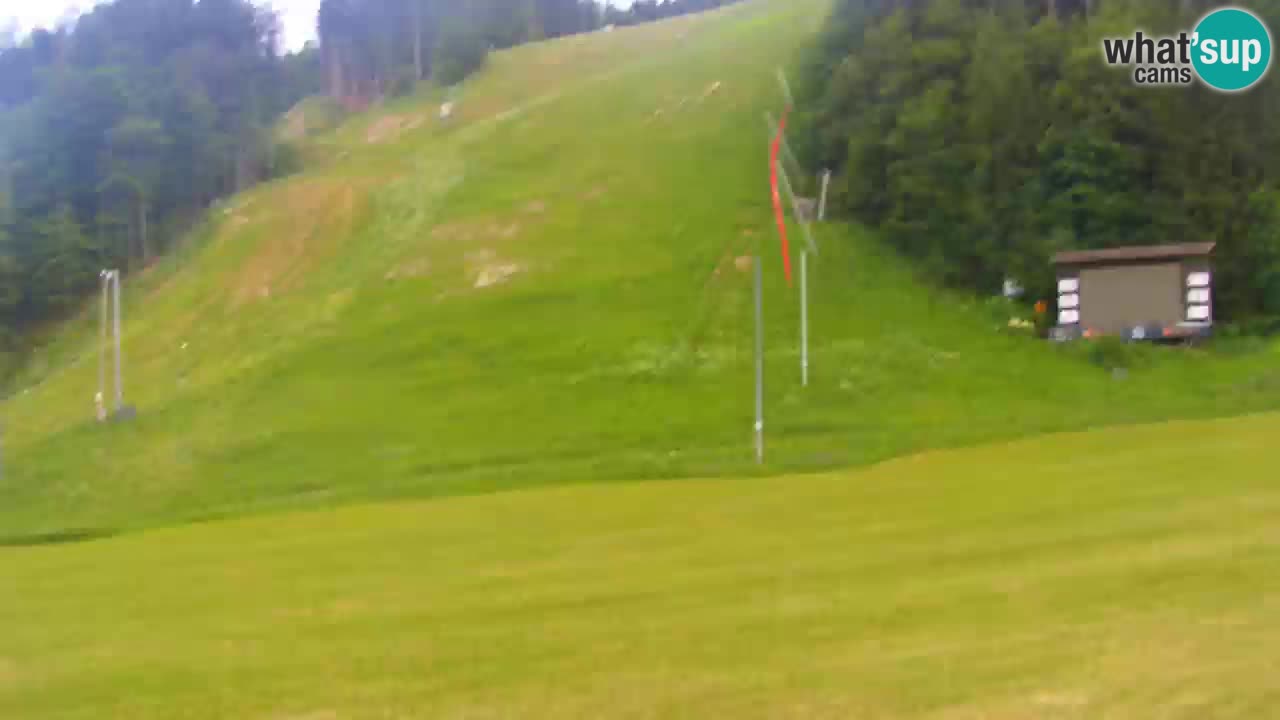 Podkoren / Kranjska Gora – Arrivee slalom géant