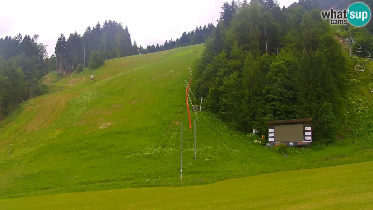 Podkoren slalom géant | Start – Kranjska Gora