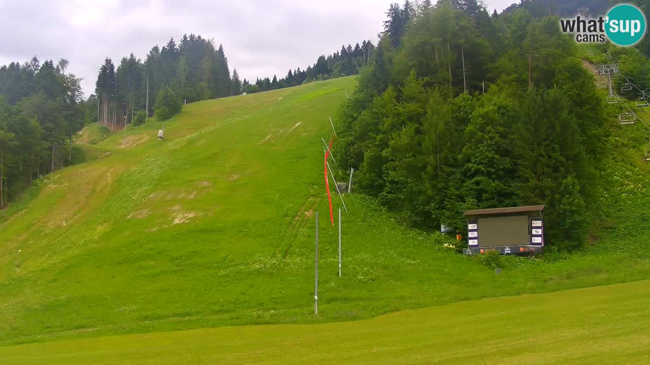 Podkoren slalom géant | Start – Kranjska Gora