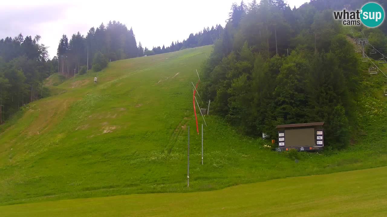 Podkoren slalom géant | Start – Kranjska Gora