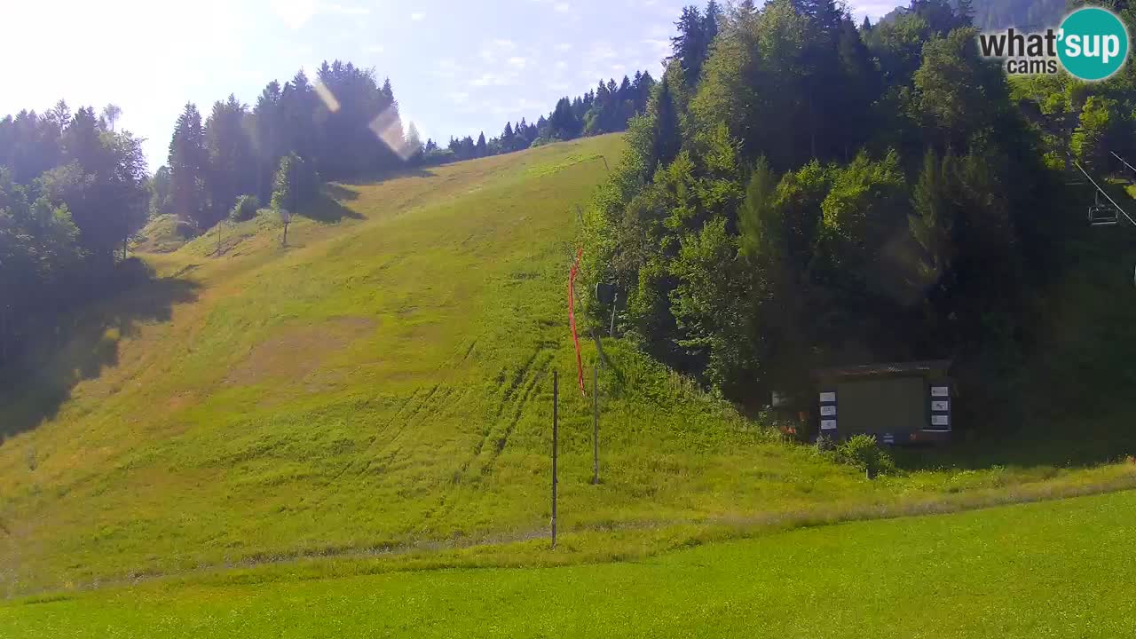 Podkoren / Kranjska Gora – Cilj veleslaloma svjetskog kupa