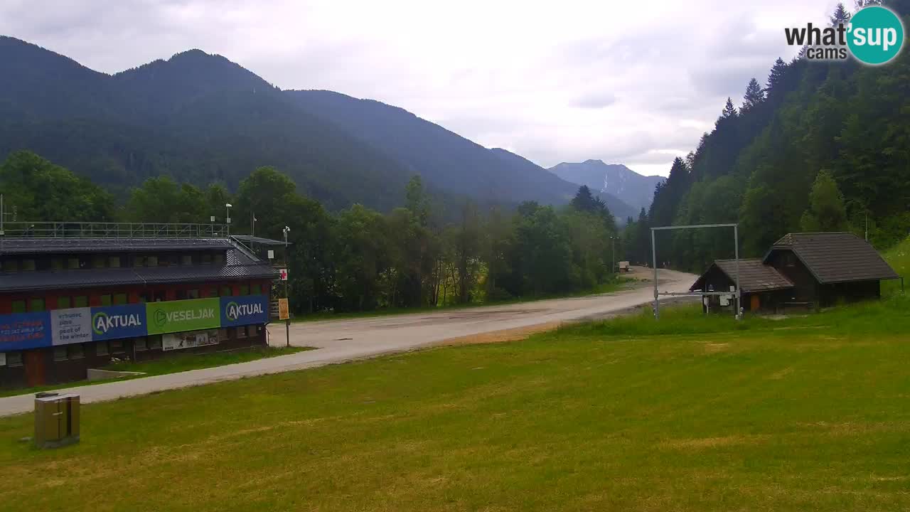 Podkoren Webcam Kranjska Gora | Finish of Giant slalom