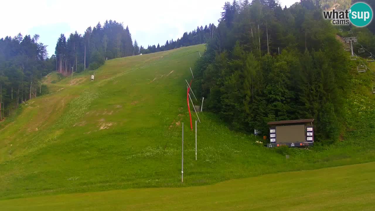 Podkoren / Kranjska Gora – Cilj veleslaloma svjetskog kupa