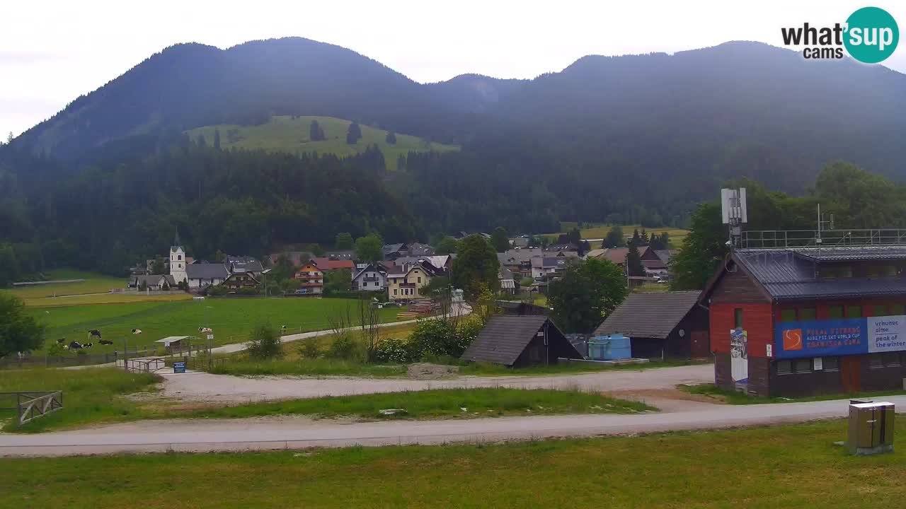 Podkoren Webcam Kranjska Gora | Finish of Giant slalom