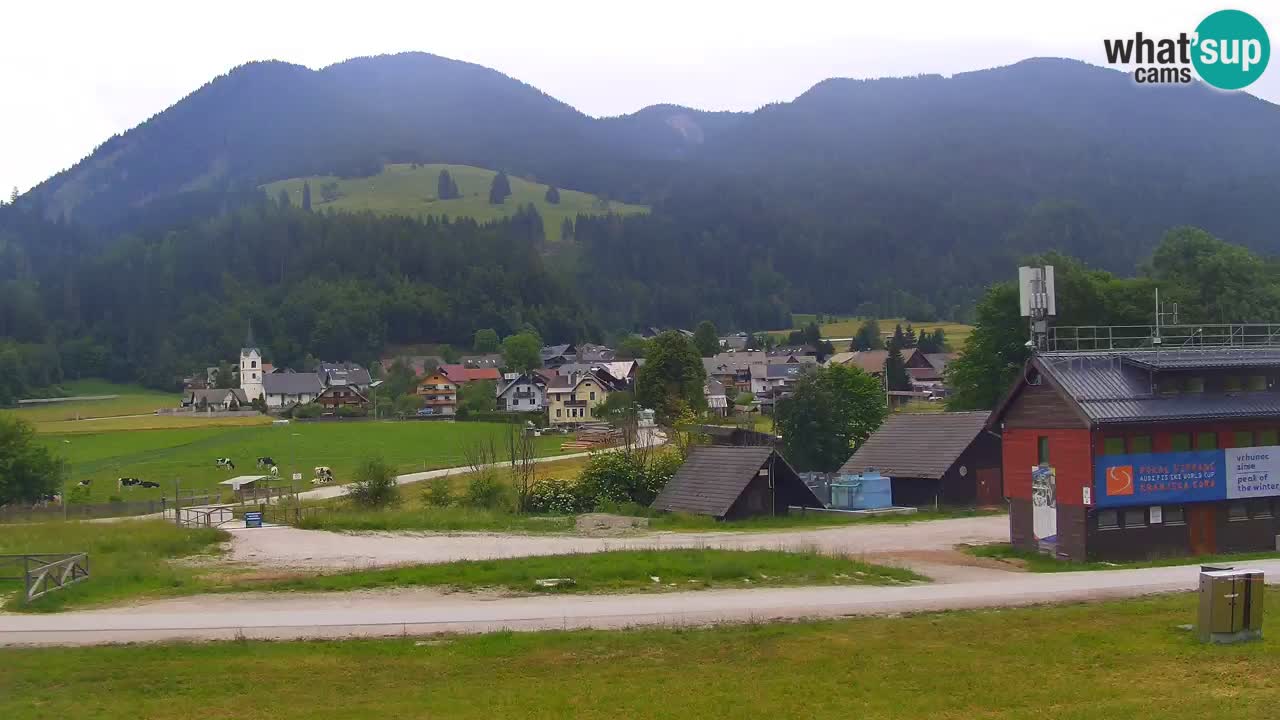 Podkoren / Kranjska Gora –  Meta Slalom gigante