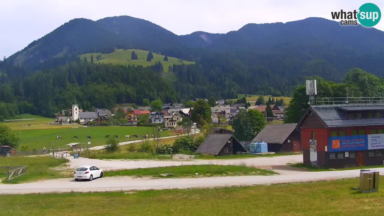 Podkoren Webcam Kranjska Gora | Finish of Giant slalom